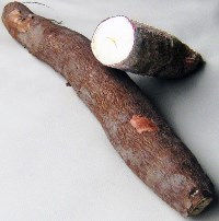 yuca