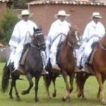 cheval de pas